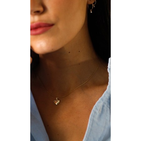 Colgante Corazón en Oro de 9K