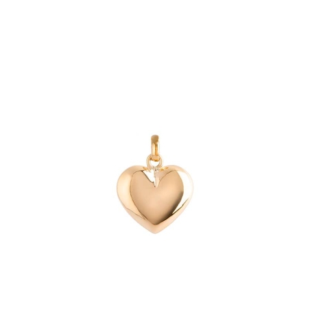 Heart Pendant in 9K Gold