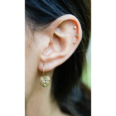 Pendientes Aro Hoja de Adán en Oro de 9K