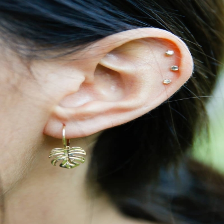 Pendientes Aro Hoja de Adán en Oro de 9K