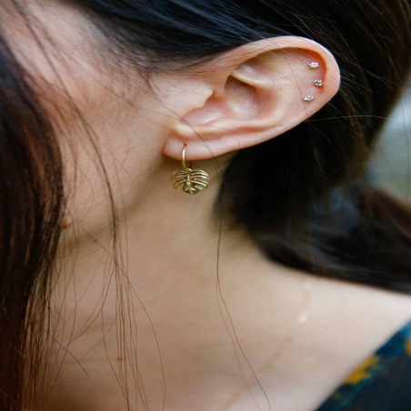 Pendientes Aro Hoja de Adán en Oro de 9K